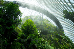 Cloud Forest at Gardens By The Bay in Singapore