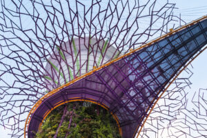 Supertrees at Gardens By The Bay in Singapore