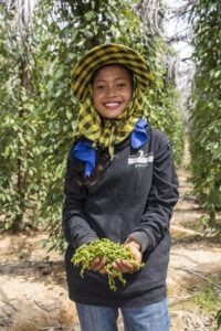 A pepper farmer showing their harvest to farm visitors 